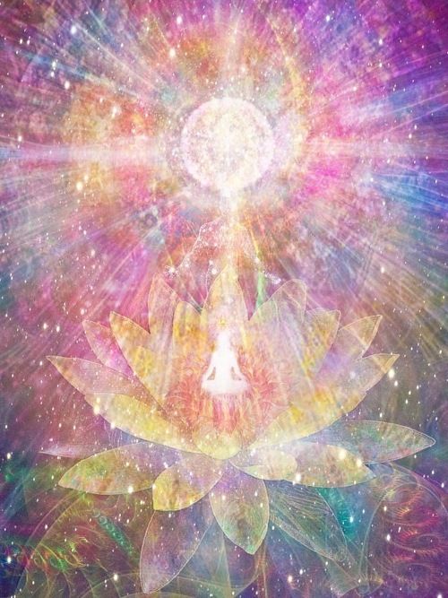 1475 poeta no lotus de brahman